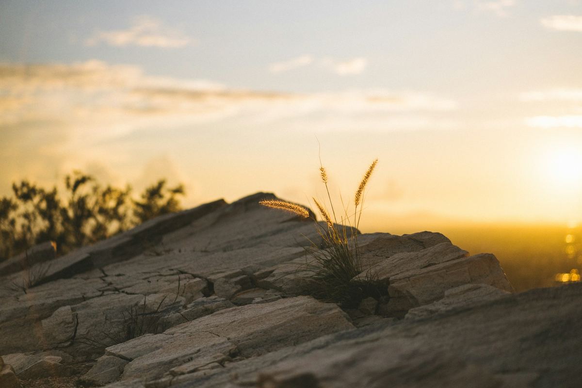 Desert rocks and grasses at sunset on a Phoenix-area trail