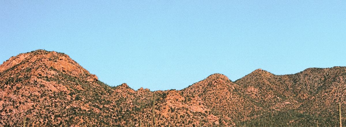 Saguaro cacti scattered across a desert valley below rugged mountains